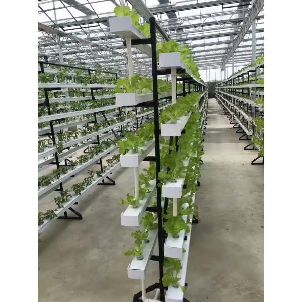 New arrival Hydroponics NFT Greenhouse System with PVC Pipe growing Kits Indoor and Garden