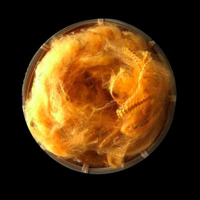 1.4D×38mm Solid Dope Dyed PSF Fiber Non Siliconized For Spinning