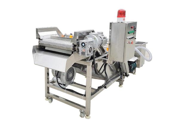 Fruits 380V Vegetable Washing Machine With Conveyor