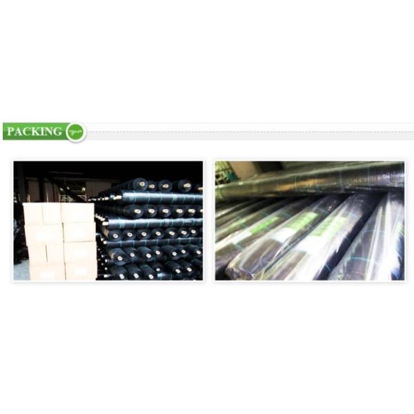 Circular Weaving Polypropylene Ground Cover , Landscape Ground Cover Fabric