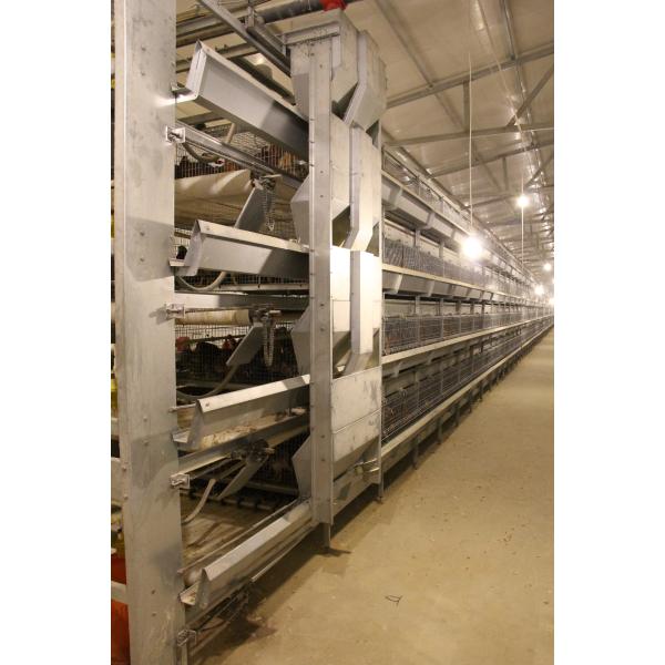 машина фидера горячего погружения клетки птицефермы яйца цыпленка 4 ярусов гальванизированная идя