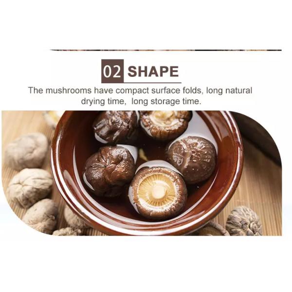 Культивирование Cubensis гриба шиитаке 4cm Брауна типичное очень вкусное сухое