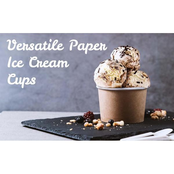 9-Oz Disposable Dessert Bowls For Hot Or Cold Food, 9-Ounce Party Supplies Treat Cups For Sundae, Frozen Yogurt