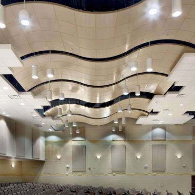 Plafond métallique micro-perforé en aluminium courbé 3D Panneaux acoustiques absorbant le son Carreaux