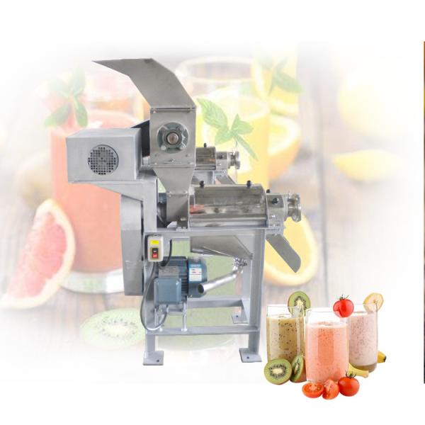 Beverage Fruit Store Industrial Juicer Extractor Machine Fresh Juice Anytime Anywhere