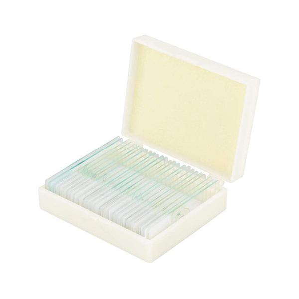 Medical Research Used Microbiology Amoeba Prepared Glass Microscope Slides For Teaching