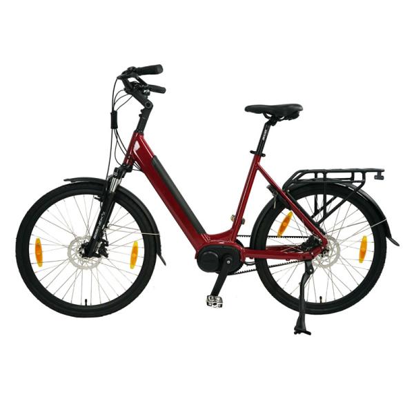 Electric Bicycle for Adults Fast Speed Customized Design and 1-3 Hours Charging Time