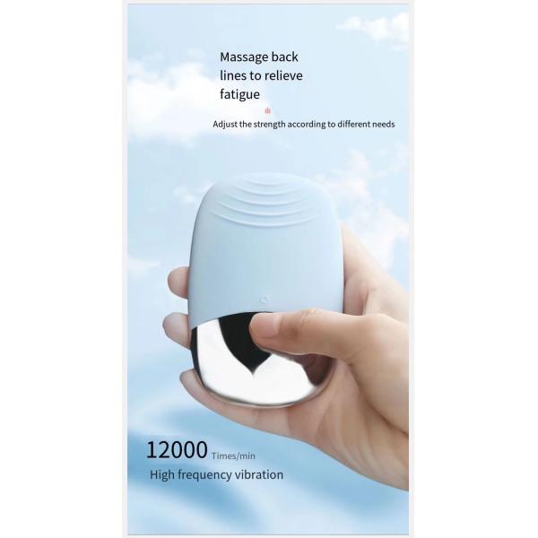 IPX7 Waterproof Sonic Facial Cleansing Brush with Silicone Brush Head and Face Massager