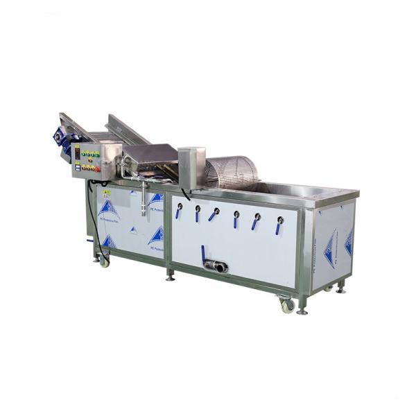 1000kg/H Stainless Steel Apple Pear Vegetable And Fruit Washing Machine