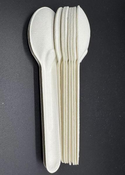 Disposable Biodegradable Food Grade Paper Pulp Cutlery For Home And Commercial Takeaway Food And Sweet Desserts