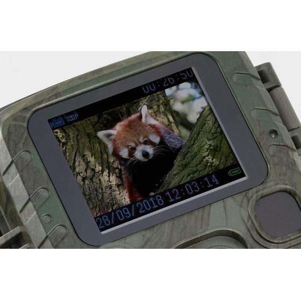 Mini Trail Camera Outdoor Hunting infrarrojo 4K HD 20MP 1080p