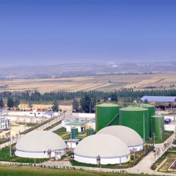 Digesteur à double membrane monté sur support, résistant aux intempéries, pour le biogaz