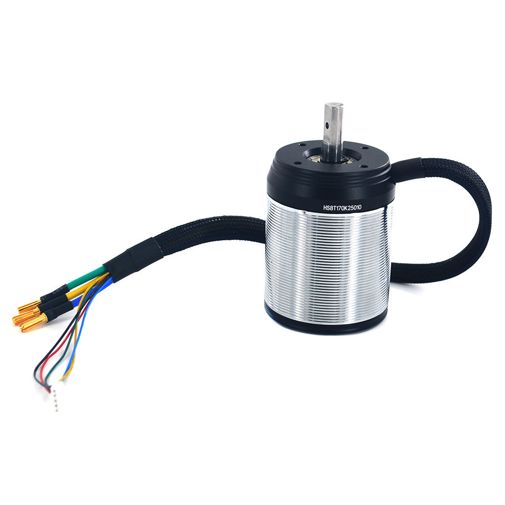 High Torque & Efficiency Brushless Drive DC 6384S Motor 48V 120-330KV 4000W for