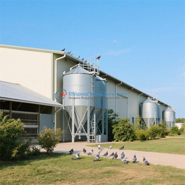 Customized Steel Structure Poultry House Fire Resistant For Dairy Farm