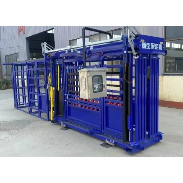 Hydraulic Cattle squeeze chute