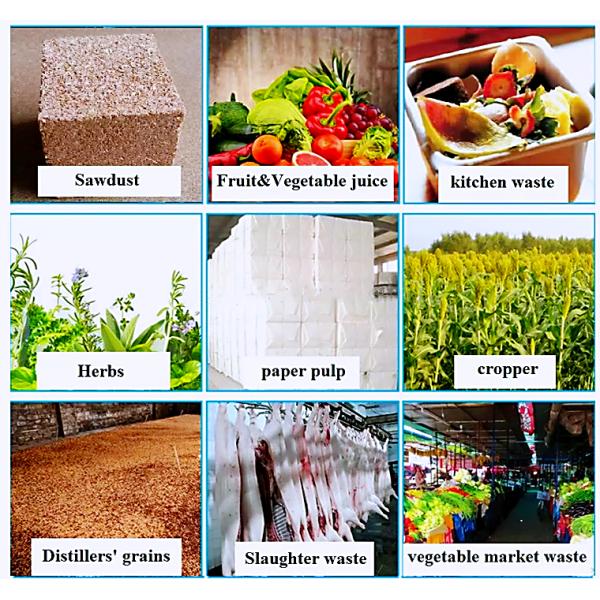 Condición 200-3000KG/h Máquina de reciclaje de residuos de animales de granja para estiércol de vacas, pollos y cerdos