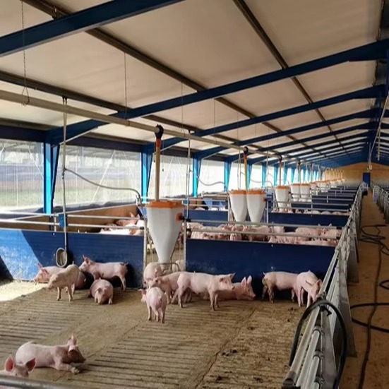 Durable Factory Industrial Design Prefabricated Steel Farmhouse for Sheep Pigs Cow Poultry Cow Poultry Farmhouse
