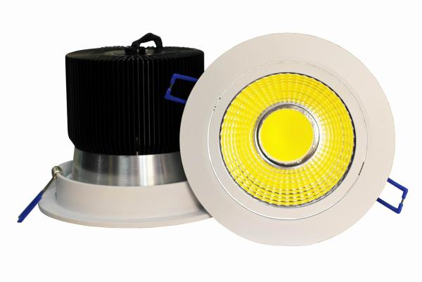 30W COB LED Downlight