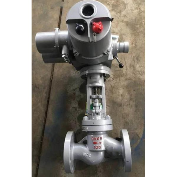 Équipement divers de pétrole de valve positive à hautes températures d'obstruction