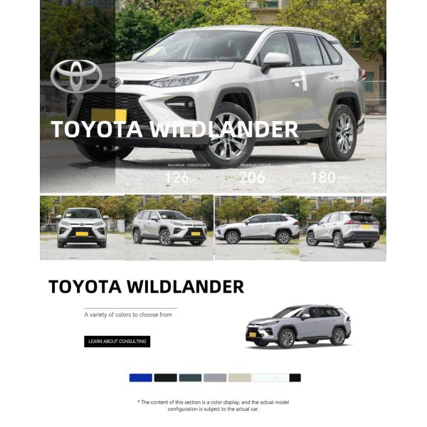 Toyota Wildlander 2024 2.0L CVT Two-Wheel Drive Leading Version