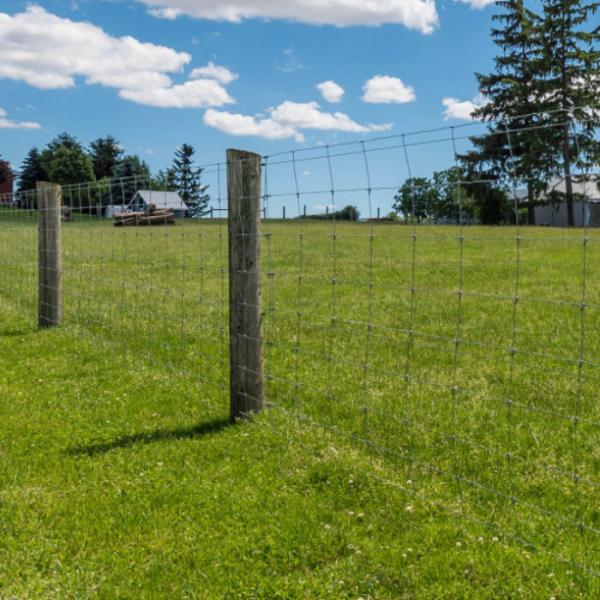 High Tensile Corrosion Resistant Woven Wire Mesh Fence for Deer Protection 10-200m Roll