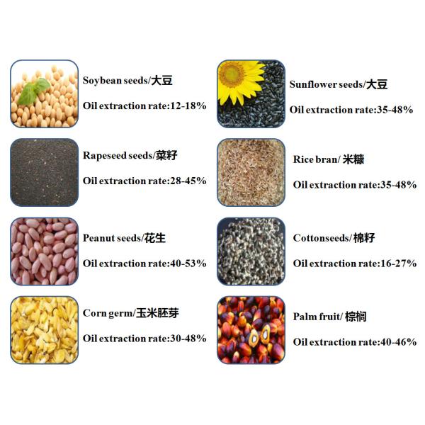 Screw Palm Oil Press Machine High-Efficiency Palm Oil Press Machine Palm Kernel Oil Machine