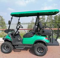 Off Road Carrinho de golfe elétrico levantado 10 polegadas TFT IP66 CARplay Display 4 lugares Mini