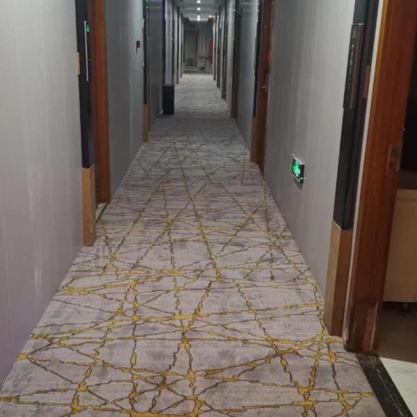 High Pile Height Nylon Custom Printing Carpets for Modern Design Style in Hotels