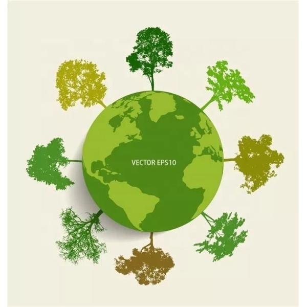 China factory biodegradable polyester fabric 300T rip stop taffeta fabric