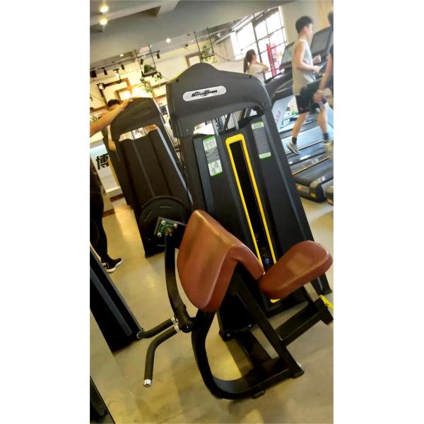 Commercial Fitness Center Universal Pin Loaded Rotary Torso Machine for Abs Workout