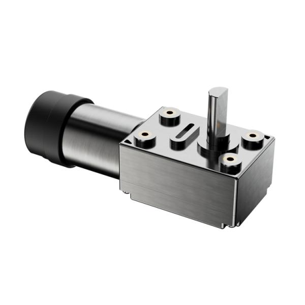 65% Efficiency Electric Dc Motor High Torque 24V Worm Gear Motor with Reduction Gear Brake