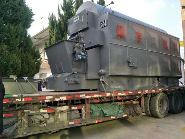 Horizontal 4t/H Output Indoor Wood Boiler Biomass Type