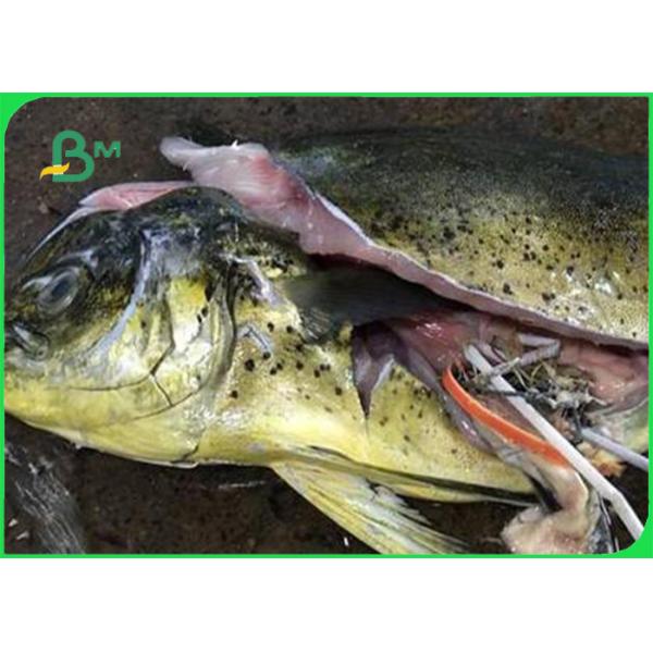 Good printing 60gsm 80gsm 120gsm environmentally friendly straw paper roll for beverage