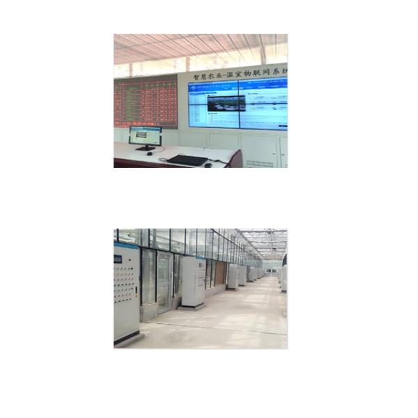 Strawberry Hydroponics Plastic Film Greenhouse , Polyethylene Film Greenhouse