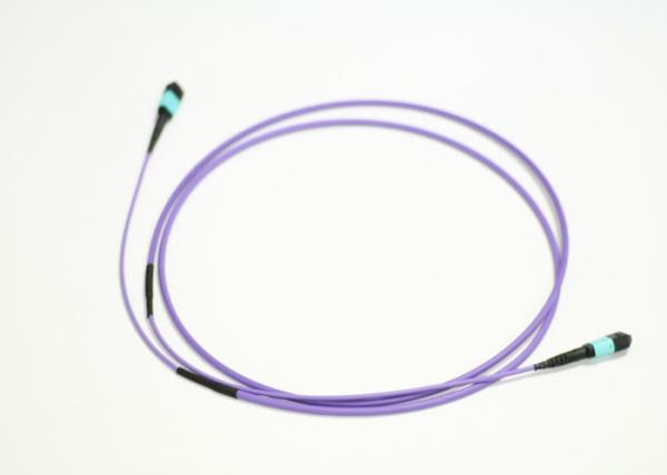 LSZH MTP OFNR 10 Foot Optical Cable 12 Cores Multimode OM3 Aqua