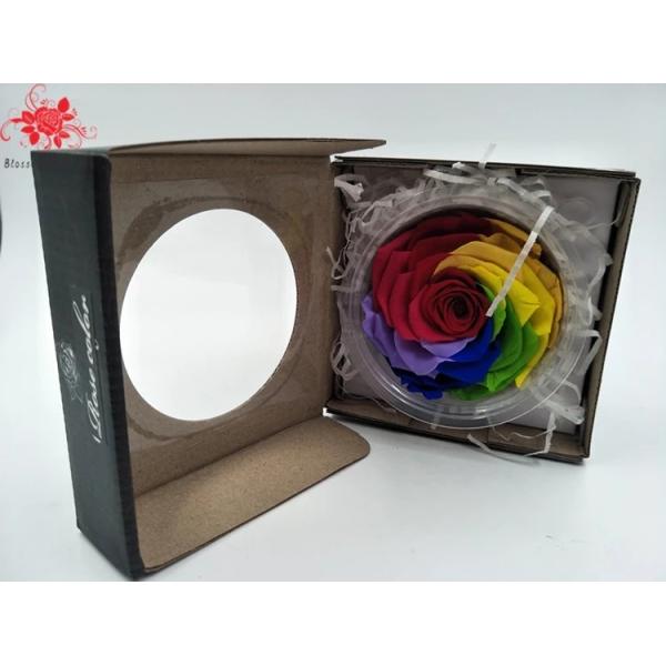 Hot selling preserved natural Roses in Round Box for Christmas gift Long Lasting Flowers