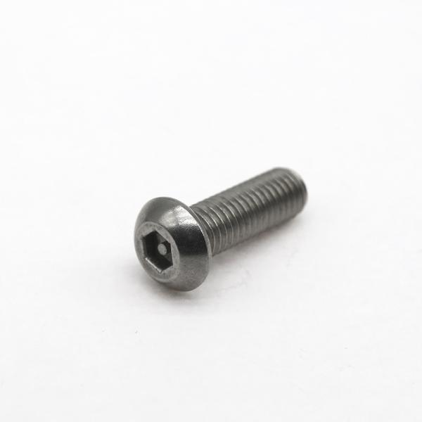 Industrial Custom Anti Theft Screw Stainless Steel Safety Fasteners