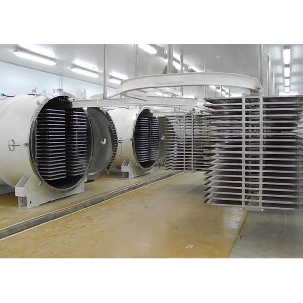 Промышленный вакуумный лиофилизатор 100 кг/партия