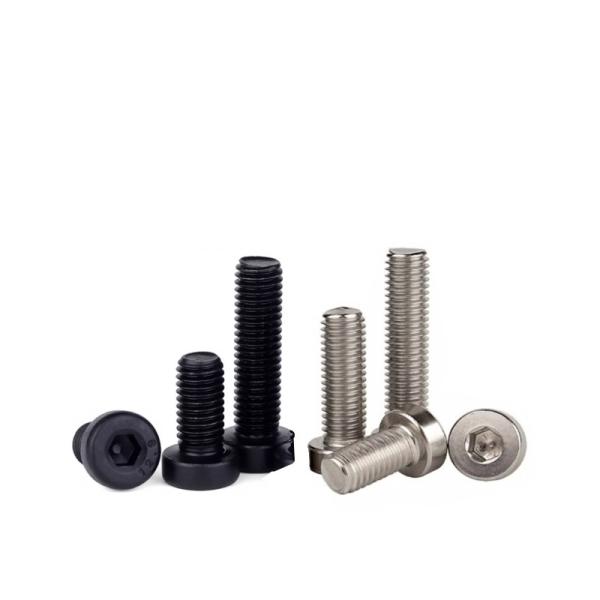 Stainless Steel M4 M5 M6x43 Hex Socket Bolt with Cup Length 110mm and Allen Key DIN912