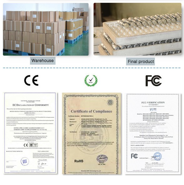 Scar Removal Permanent Makeup Machine - Electric Auto Micro Needling Derma Stamp Pen