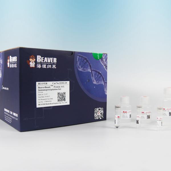 22203 набор иммунопреципитации протеина A/G с гибкой простой деятельностью