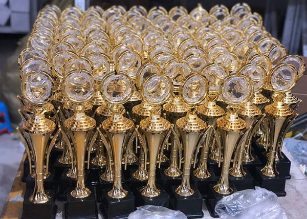 Sportsman Awarding Plastic Award Cups Trophies , Gold Plated Sports Cup Trophy