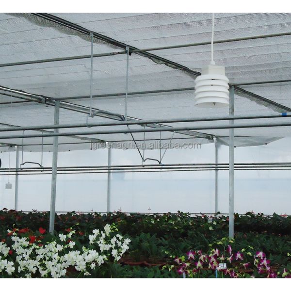 Large Single Layer PE Greenhouse Agricultural Film for Organic Vegetable