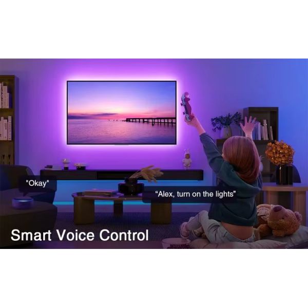 TV Sync Box Light Strings Kit IP20 APP Control RGBIC WS2811 Music Sync LED Strip Lights for TV