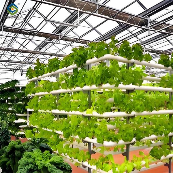 Weather Resistance Hydroponic System Greenhouse Multispan For Planting
