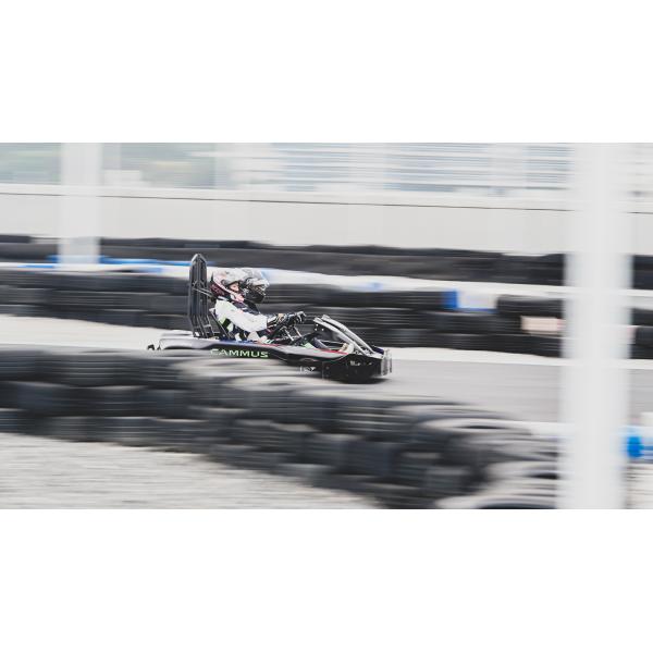 Крытое на открытом воздухе Teamsport идет моторы основания колеса Karts 1050mm двойные