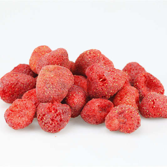 Stainless Steel 304 Economic Freeze Drying Unit Lyophilization Equipment With 50KGS Per Batch Capacity