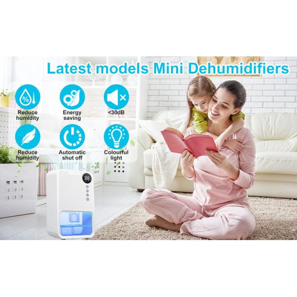 Portable Mini Dehumidifier The Essential Tool for Keeping Your Home Dry and Mold-Free