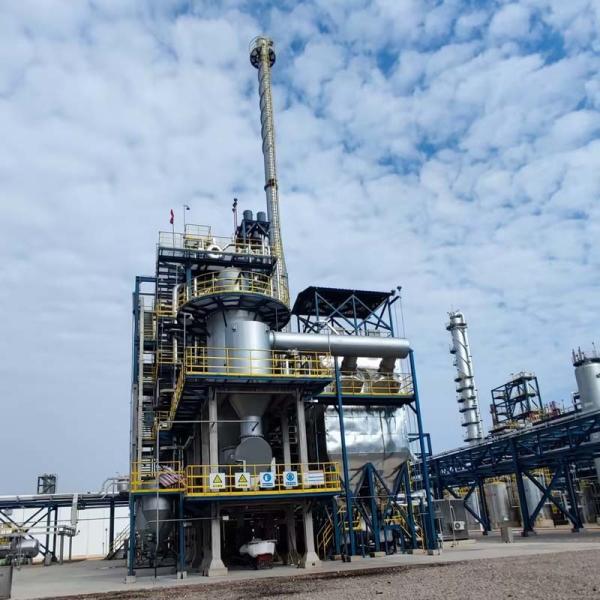 Shock Resistance Regenerative Catalytic Oxidizer Strong Load Capacity Strong Adaptability