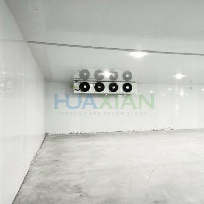 China Sale Commercial Refrigeration and Freezing Walk in Cooler Freezer Cold Room